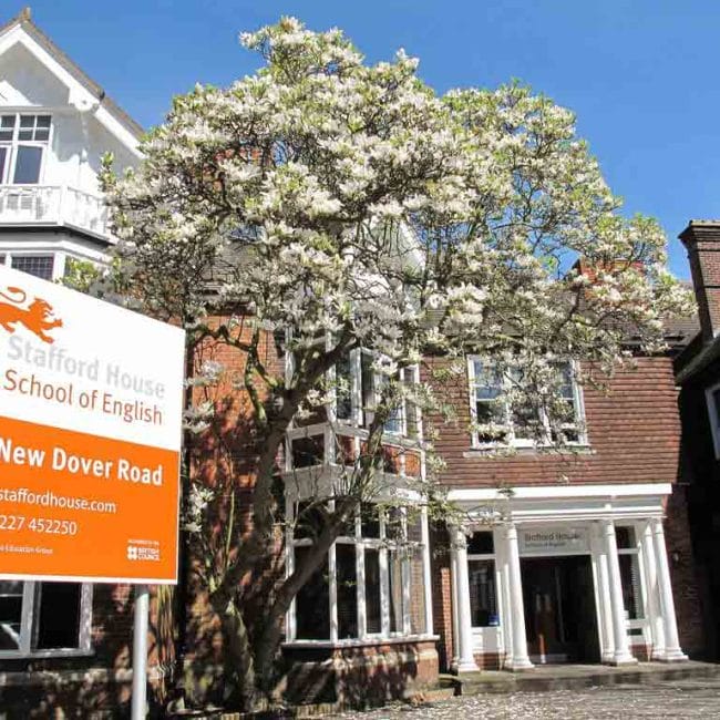 moovy-vacanza-studio-ministay-canterbury-scuola-4